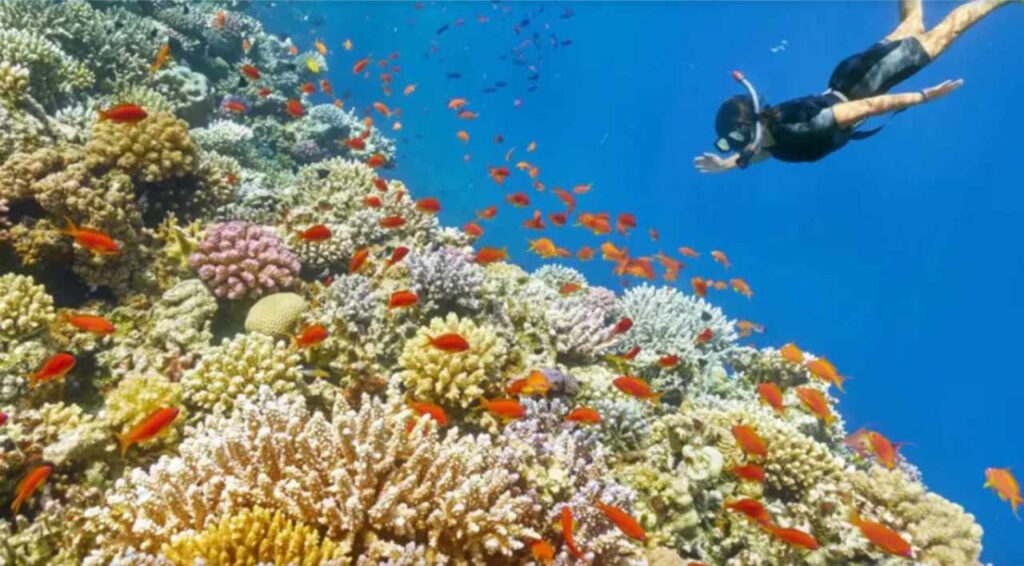 Sharm El Sheikh, all’estero è il mare per eccellenza degli italiani
